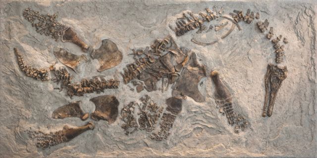Οι πλησιόσαυροι γεννούσαν μικρά που ίσως φρόντιζαν