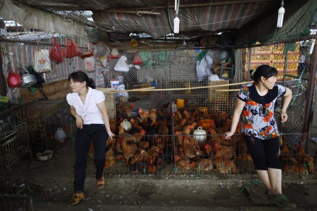 Στα 31,4 δισ. δολάρια το εμπορικό πλεόνασμα της Κίνας τον Ιούλιο