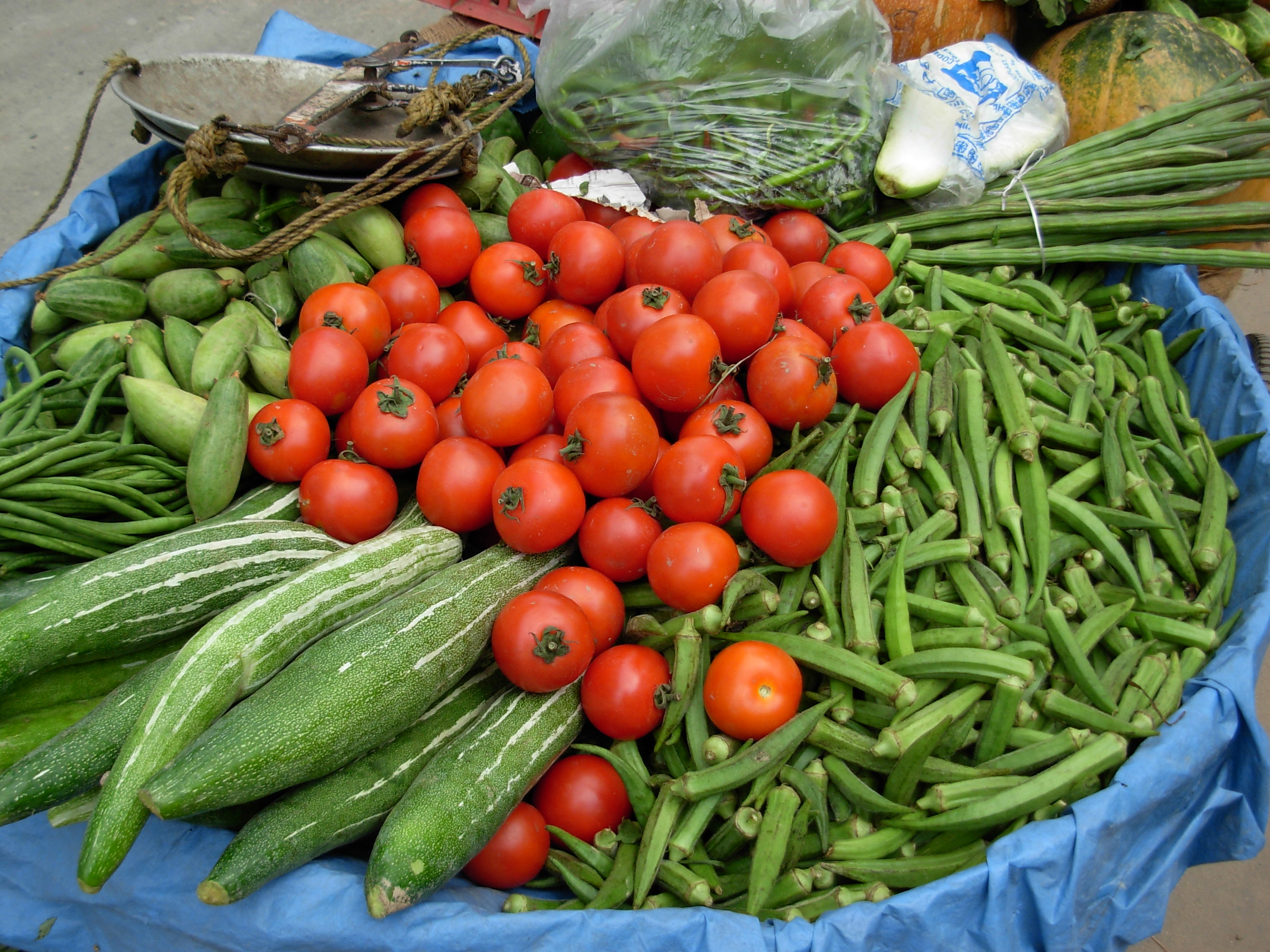 Λαχανόκηπος: Καλλιεργήστε με σύστημα