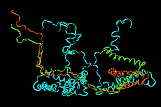 Νέους δρόμους στην θεραπεία της νόσου Πάρκινσον ανοίγουν τα βλαστοκύτταρα
