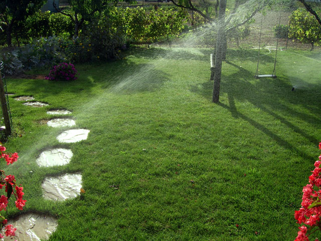 Αυτόματο πότισμα για καλύτερη παραγωγή