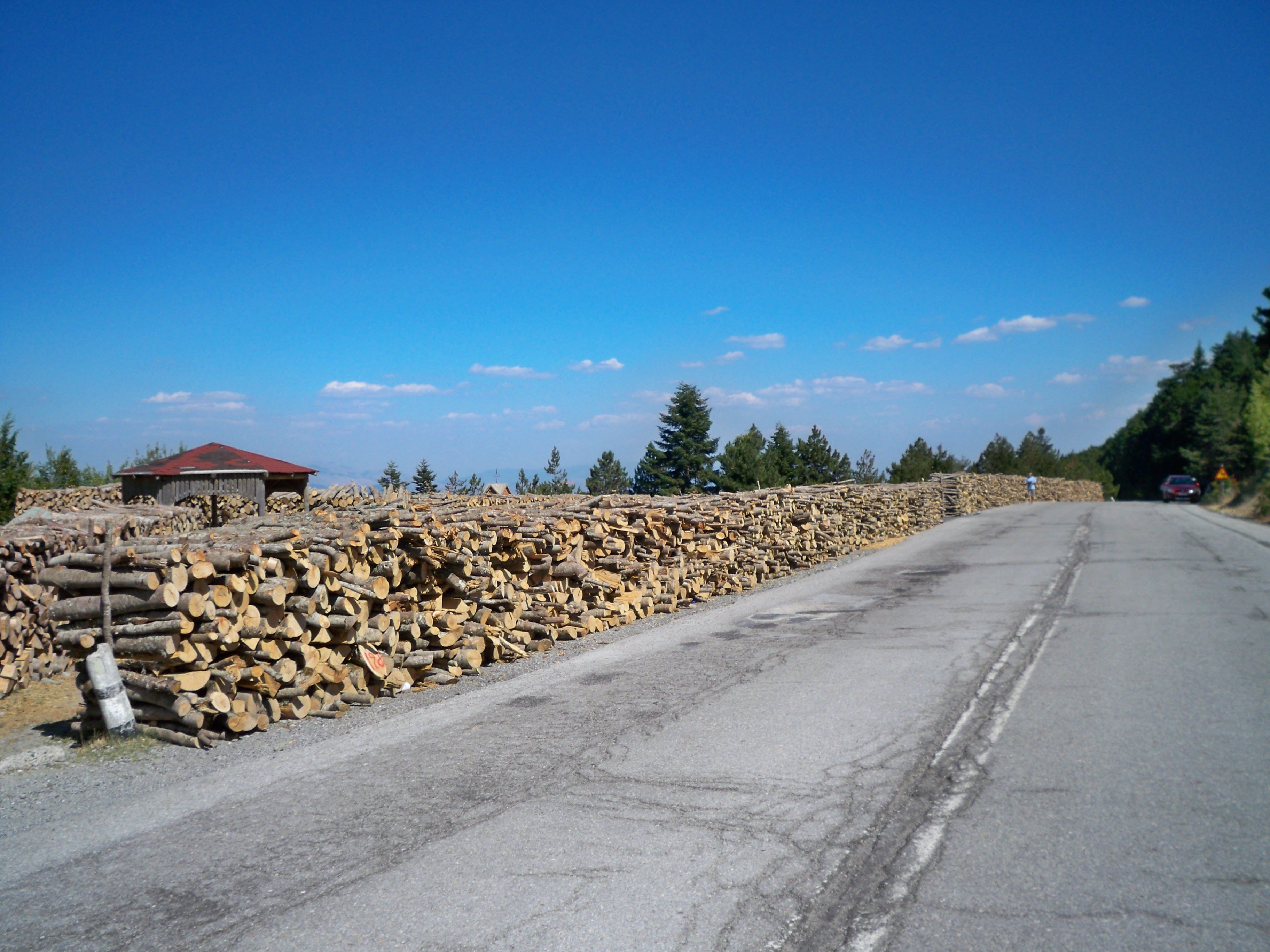 Οικολογική Κίνηση Κοζάνης : Ένα σπάνιο δάσος καταστρέφεται, ένα μνημείο εκκλησιαστικής αρχιτεκτονικής καταρρέει