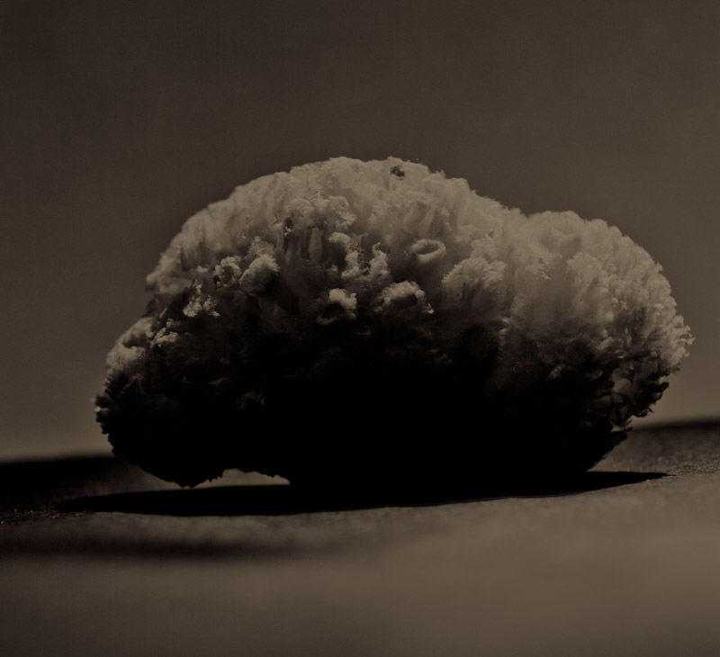 «Μνήμες Σπογγαλιείας στην Αίγινα»: Μια ιστορική και εικαστική έκθεση