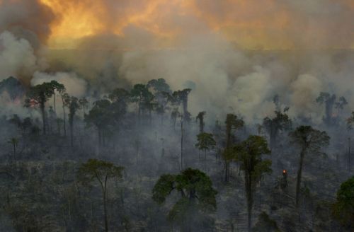 Αυξημένη κατά 15% η αποψίλωση των δασών στον Αμαζόνιο το τελευταίο 12μηνο