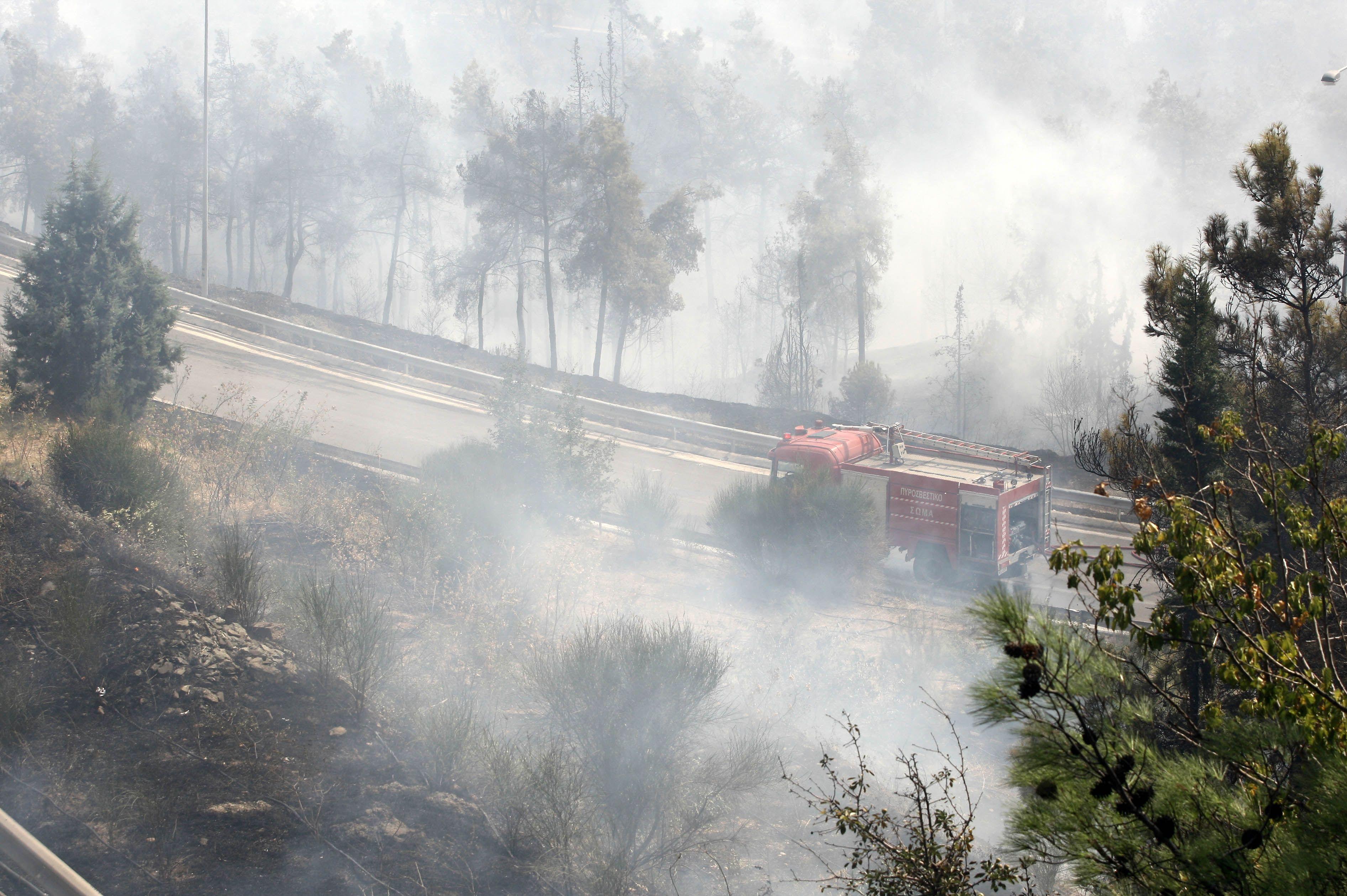 Στάχτη πάνω από 30.000 στρέμματα στον Έβρο – Υπό έλεγχο το μέτωπο στο Σέιχ Σου