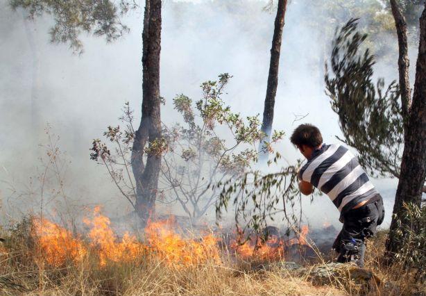 Σε κατάσταση έκτακτης ανάγκης Έβρος, Μεσολόγγι και Αρκαδία λόγω των πυρκαγιών