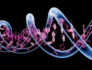 Εντοπίστηκαν 28 περιοχές του DNA που σχετίζονται με την υπέρταση