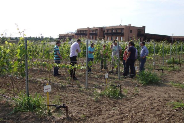 Οδηγίες για την εφαρμογή του εργόσημου στον αγροτικό τομέα από τον ΟΓΑ