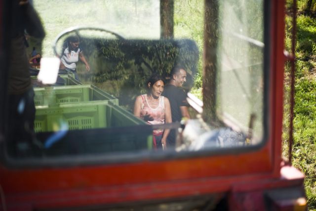 Τρακτέρ-ρομπότ και το ρεκόρ του αυτοκινήτου που «καίει» …καφέ