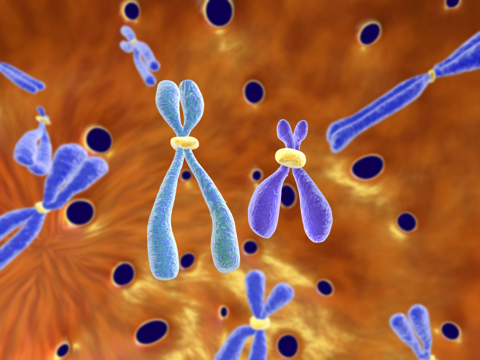 Εντοπίστηκαν νέες γονιδιακές μεταλλάξεις που πρoδιαθέτουν στην εκδήλωση λευχαιμίας