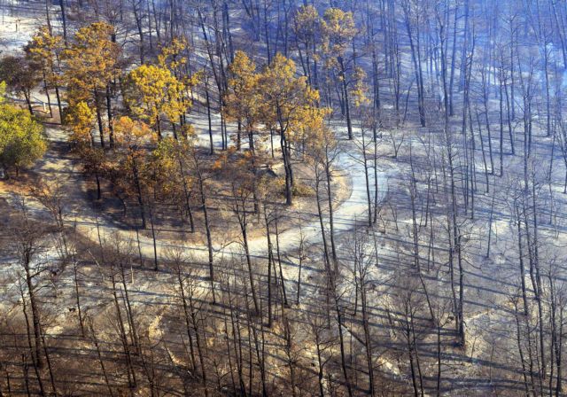 Νεκρούς και εκατοντάδες καμένα σπίτια αφήνουν πίσω τους οι πυρκαγιές στο Τέξας