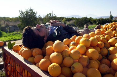 Υπερψηφίστηκε το νομοσχέδιο για τους αγροτικούς συνεταιρισμούς