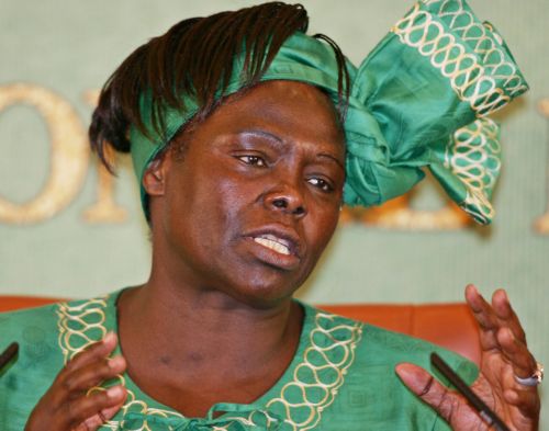 Απεβίωσε η Κενυάτισσα οικολόγος, τιμημένη με Νόμπελ Ειρήνης, Ουανγκάρι Μαατάι