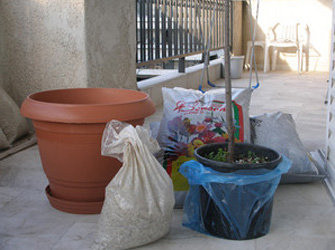 Video: Μεταφύτευση φυτών