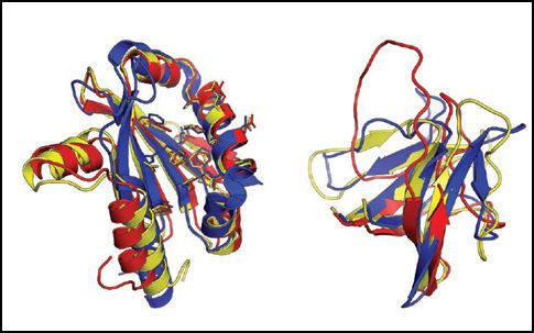 Δυσεπίλητο παζλ της Ιατρικής λύθηκε με βιντεοπαιχνίδι