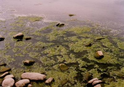 Πρόστιμο έως και 500.000 ευρώ για όσους ρυπαίνουν το περιβάλλον