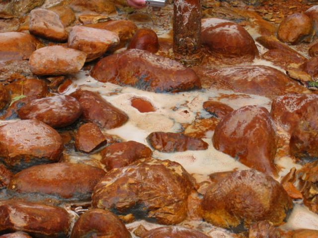 Όταν η ζωή στη Γη πήρε τις πρώτες ανάσες οξυγόνου