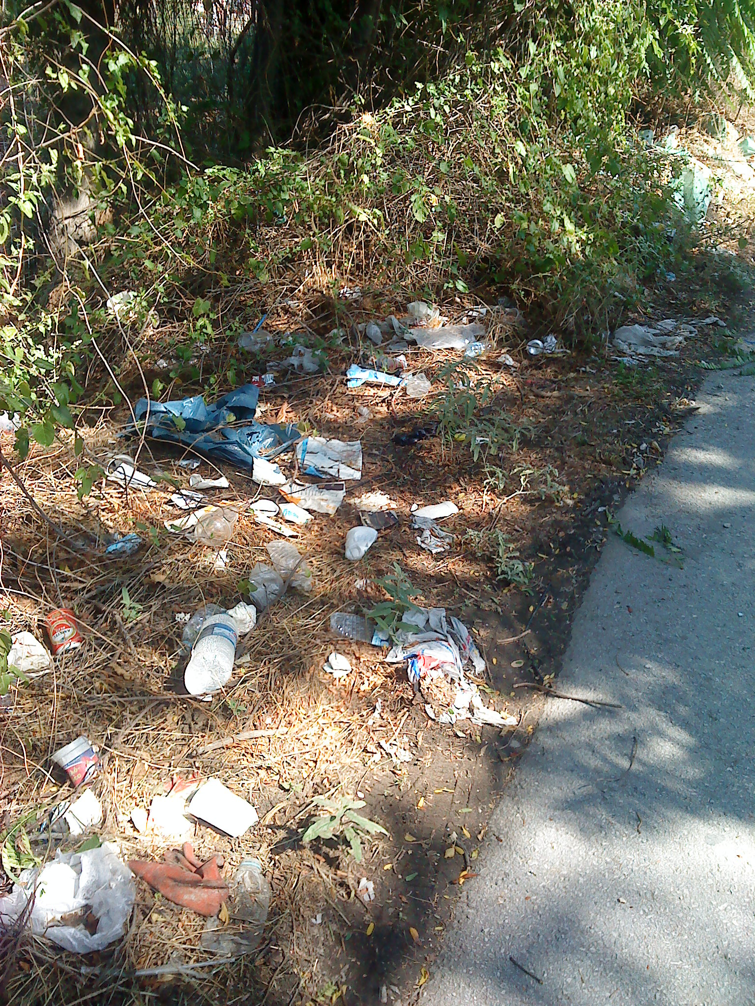 «Αθάνατη  Ελλαδάρα»