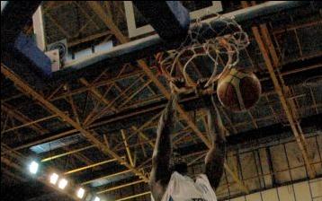 Πανελλήνιος σε ΕΕΑ: «Ευχόμαστε να κοιμόσαστε ήσυχοι»