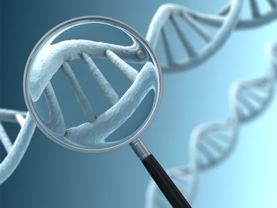 «Υπεραιωνόβιο» γονιδίωμα επιχειρεί να ρίξει φως στη γήρανση
