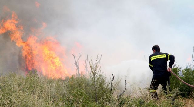 Υπό έλεγχο η πυρκαγιά σε αγροτοδασική έκταση στο Καστρίτσι Αχαΐας
