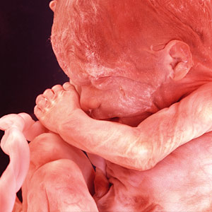 Ο 4ος μήνας της εγκυμοσύνης