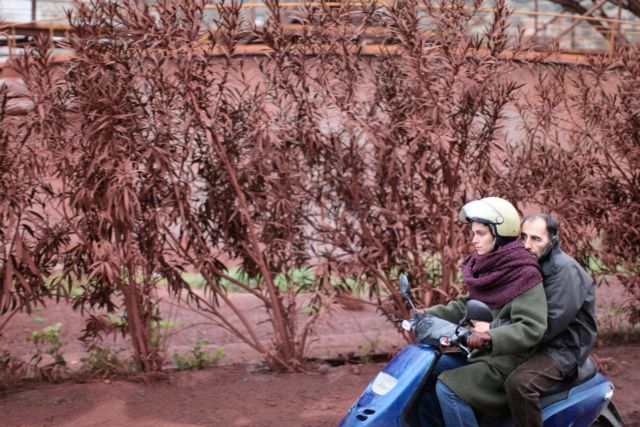 Βραβείο καλύτερης ταινίας στο Φεστιβάλ Κινηματογράφου της Ρουμανίας για το «Attenberg»