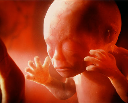 Ο 3ος μήνας της εγκυμοσύνης