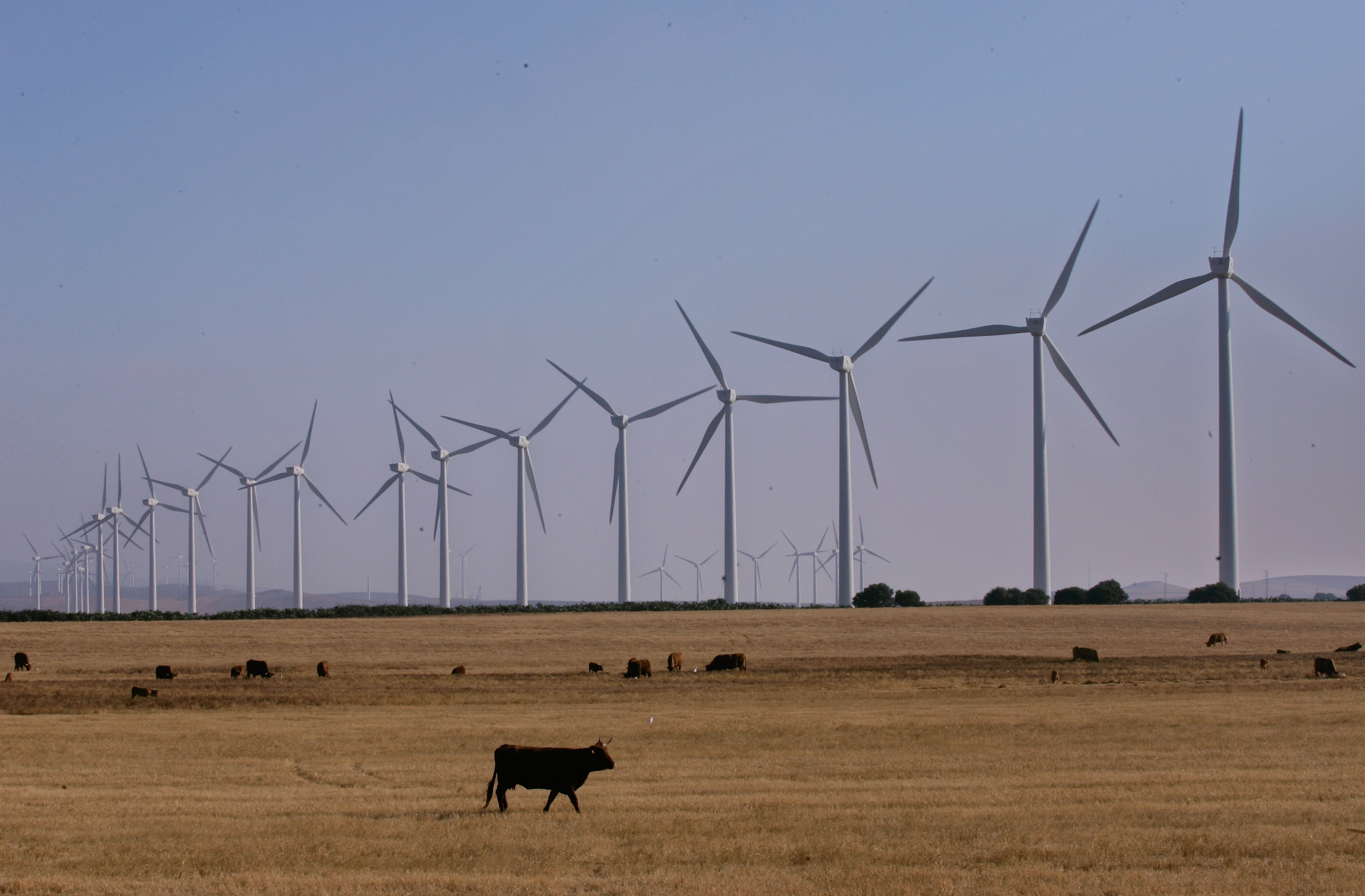 Greenpeace:Σκληρή κριτική για το σχέδιο υπουργικής απόφασης σχετικά με τις περιβαλλοντικές αδειοδότησης