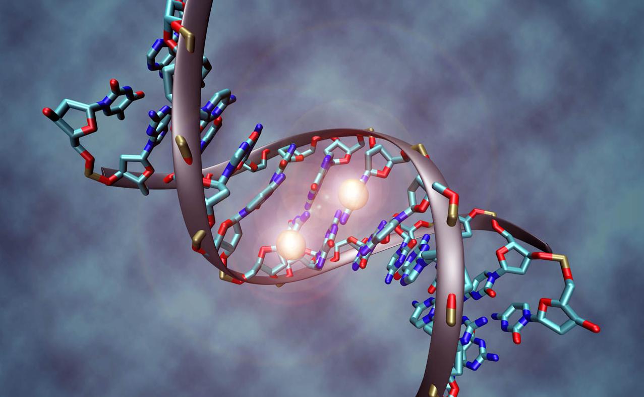 Πρώτη δοκιμή βλαστοκυττάρων με «επισκευασμένες» μεταλλάξεις