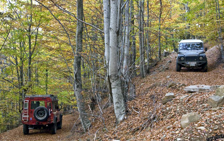 Εκδρομή με παιδιά την 28η Οκτωβρίου