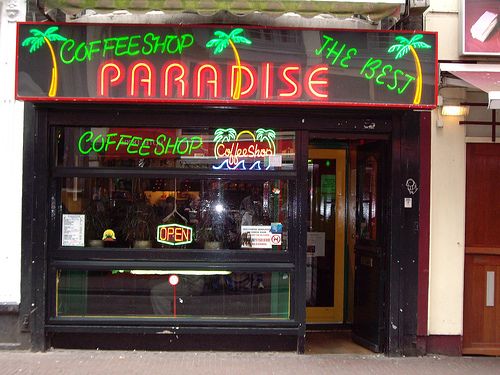 Το «σκανκ» αποσύρεται από τα ράφια των ολλανδικών καφέ κάνναβης