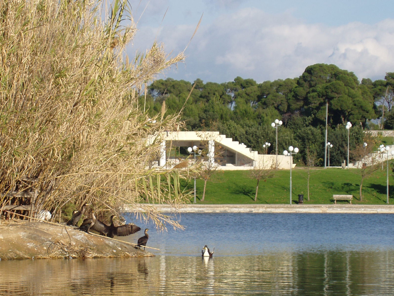 Σάββατο 19 Νοεμβρίου: Παρουσίαση προτάσεων για την ανάπλαση του Πάρκου «Α. Τρίτσης»