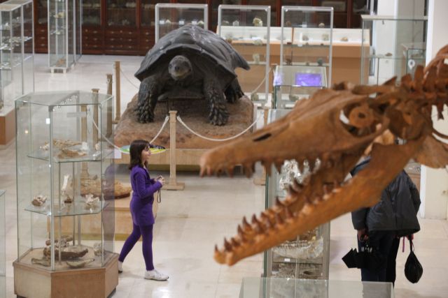 Ανοίγει πιλοτικά για το κοινό το Μουσείο Παλαιοντολογίας και Γεωλογίας στην Αθήνα