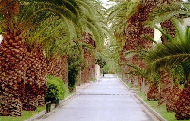 Προειδοποιητικό «λουκέτο» στη Γεωπονική Τετάρτη και Πέμπτη λόγω… εφεδρείας