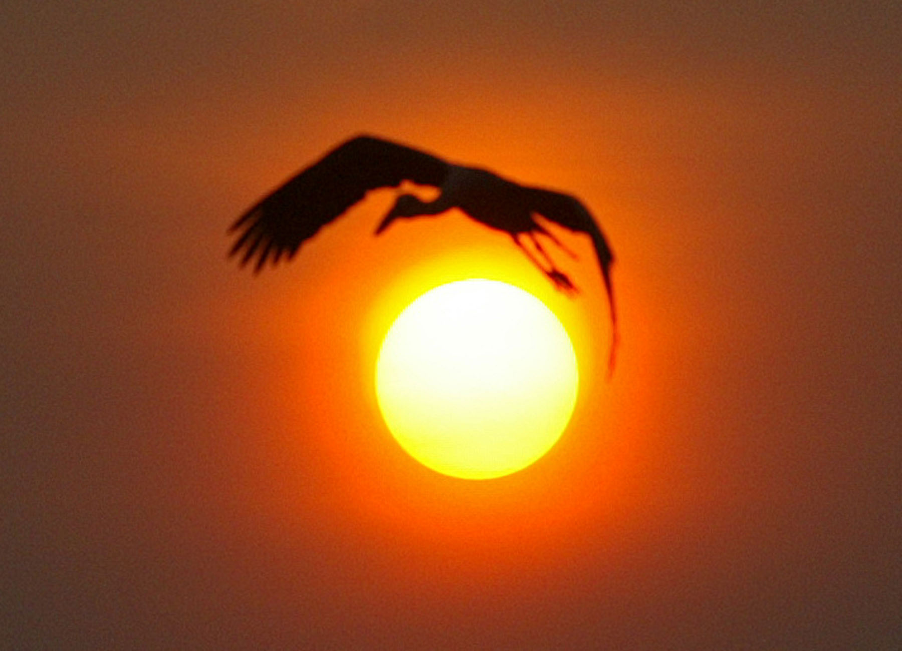 Krugman : Σε λίγα χρόνια ο ήλιος θα είναι πιο φθηνός από τη συμβατική ενέργεια