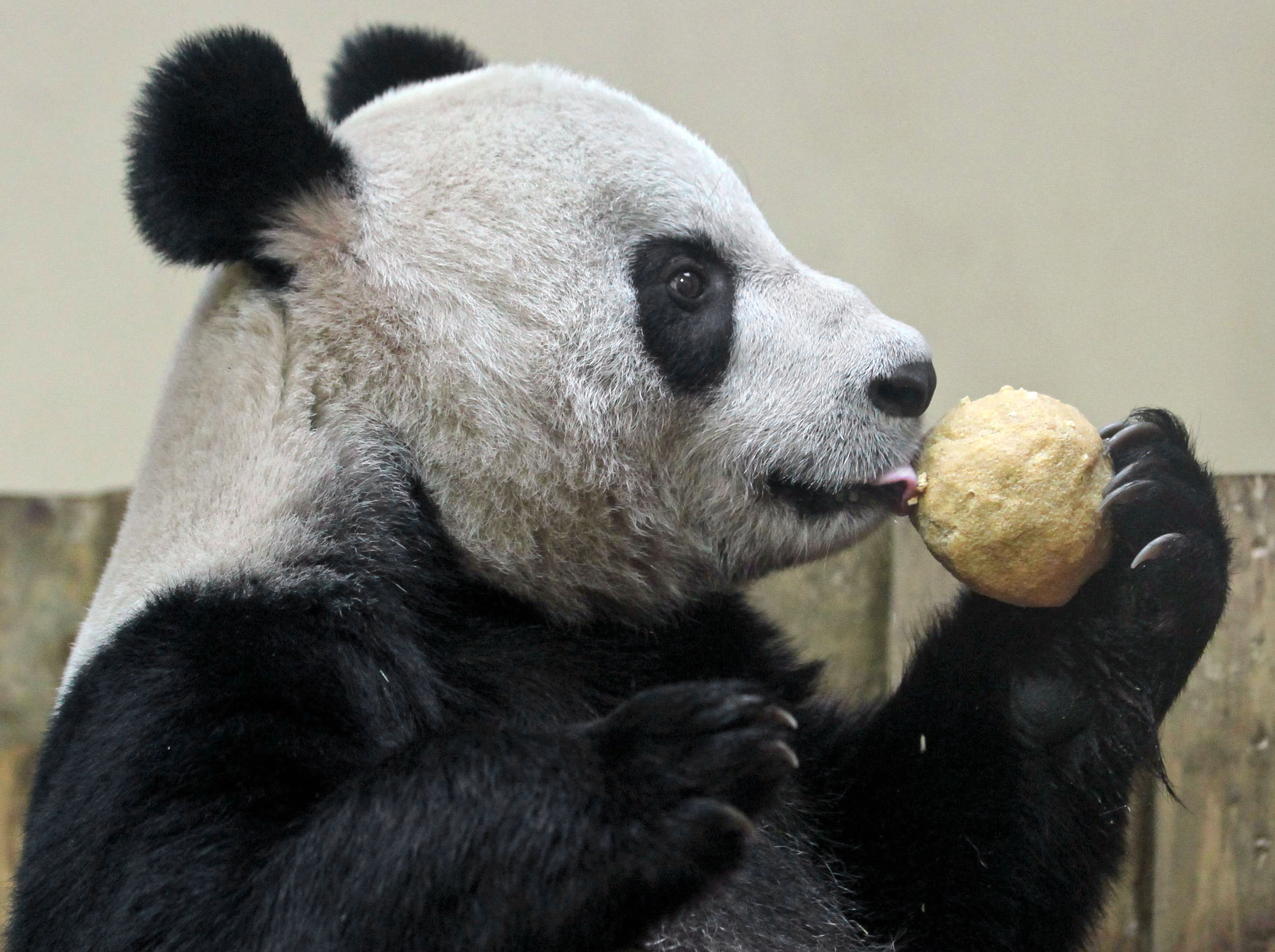 Δίχασε τη βρετανική κοινή γνώμη μία από τις γυναίκες της χρονιάς που επέλεξε το BBC