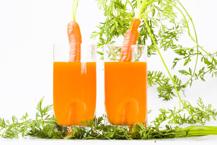 4-8 Ιανουαρίου 2012: Θεωρία και Πρακτική της Ωμοφαγίας στο Αγρόκτημα «Ευμέλεια»