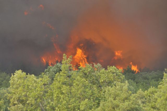 Έκθεση του γραφείου του Μ.Γιλμάζ επιβεβαιώνει τις πυρκαγιές σε ελληνικά δάση