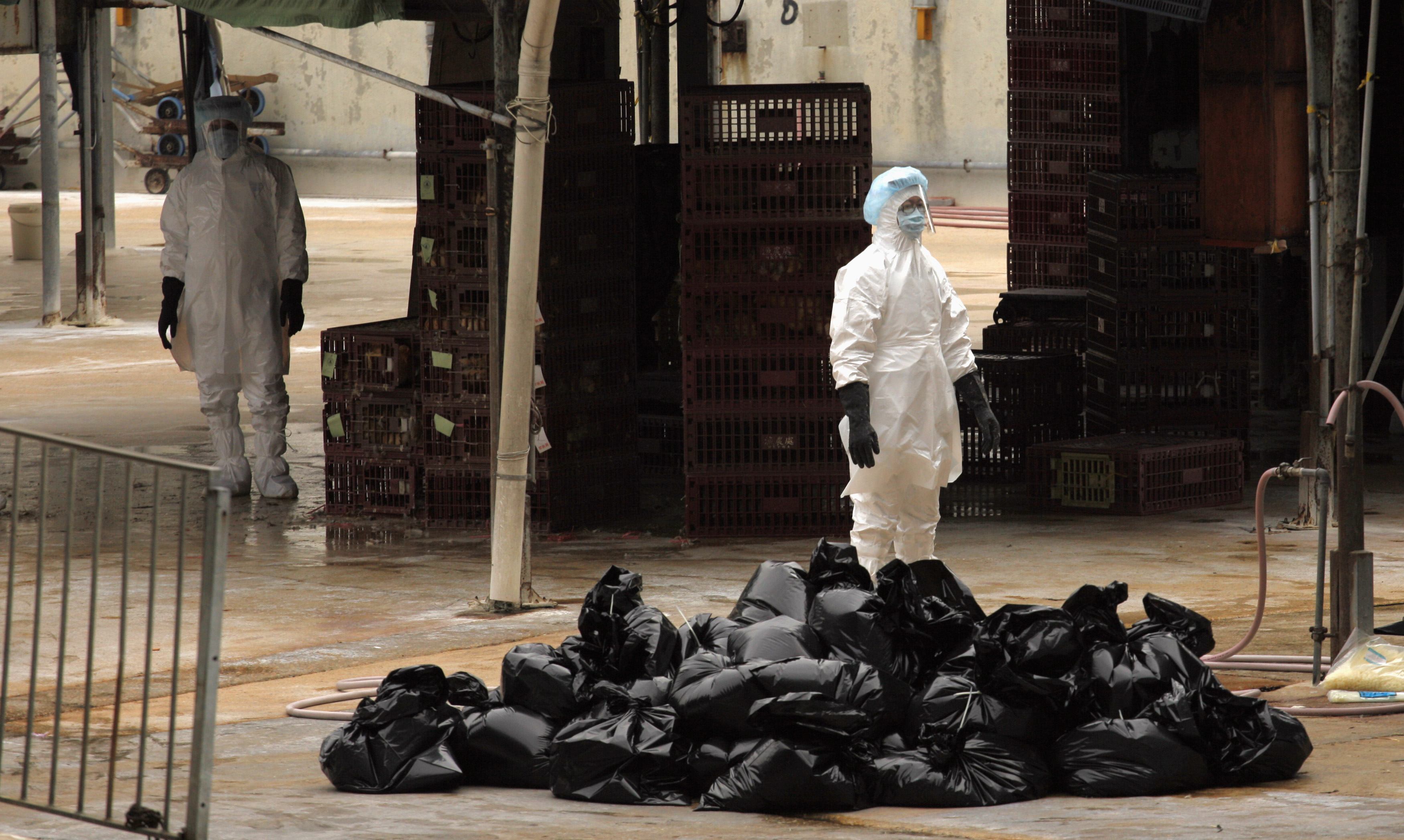 Ανήσυχος ο Παγκόσμιος Οργανισμός Υγείας για τις έρευνες πάνω στον ιό Η5Ν1