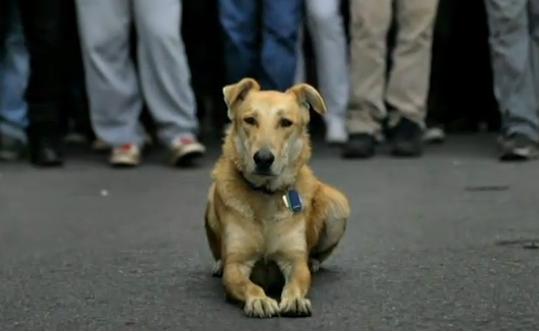 Tην τιμητική του έχει ο «Λουκάνικος» στο αφιέρωμα του TIME για το πρόσωπο του 2011