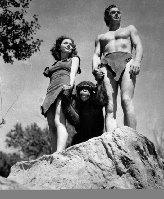 Έφυγε από τη ζωή η θρυλική Τσίτα του Ταρζάν