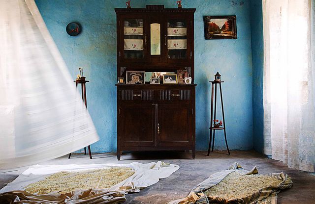 Τα μαστιχοχώρια της Χίου ταξιδεύουν στην Κωνσταντινούπολη