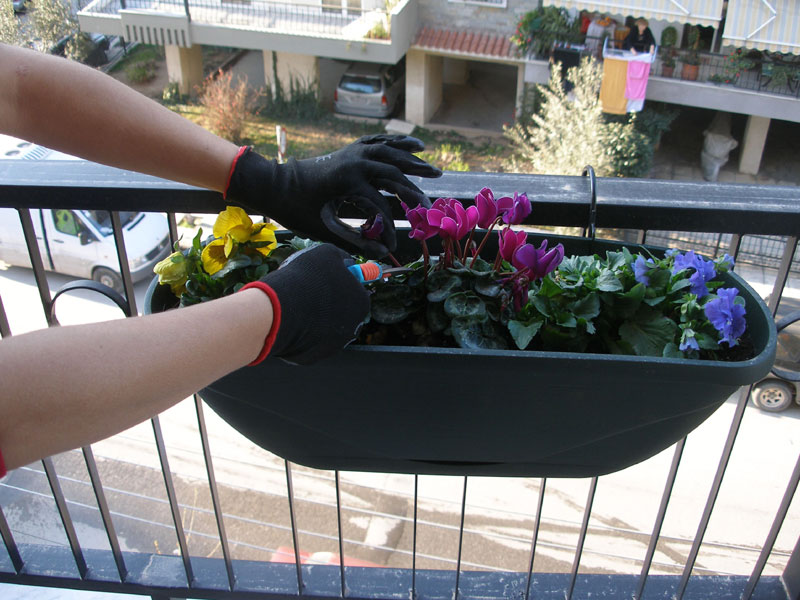 Με τα εργαλεία μου στο χέρι κλαδεύω και φυτεύω τον Γενάρη