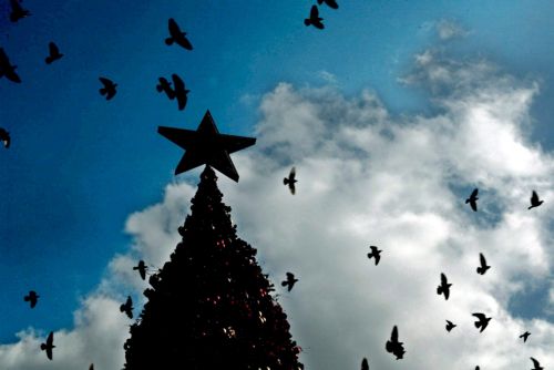 Ιστορίες χριστουγεννιάτικων εθίμων από όλο τον κόσμο