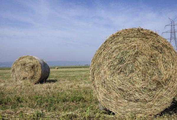 Μείωση 5,3% στο αγροτικό εισόδημα το 2011