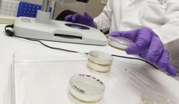 Απο μηχανής θεός η Τουρκία για το Εργαστήριο αντιντόπινγκ του ΟΑΚΑ