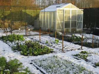 Live-chat για την προστασία των φυτών, με τον Δ. Κωνσταντάκο