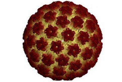 Συχνότερη στους άνδρες η στοματική λοίμωξη με τον ιό των θηλωμάτων HPV