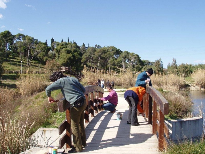 «Αλκυονίδες Ημέρες Εθελοντικής Εργασίας» 21 και 22 Ιανουαρίου 2012 στο Ίλιον